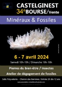 34ème Bourse vente minéraux fossiles pierres du bien-être  à CASTELGINEST. Du 6 au 7 avril 2024 à Castelginest. Haute-Garonne.  10H00